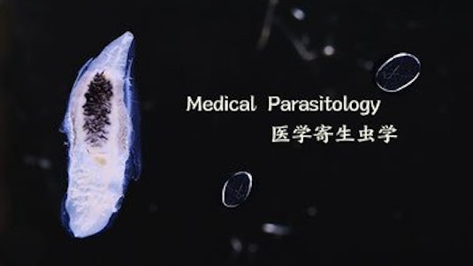 Medical Parasitology | 医学寄生虫学 (edX) Medical Parasitology | 医学寄生虫学 (edX)