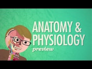 Anatomy & Physiology by CrashCourse