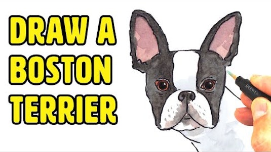 Free Online Course: How to Draw Dogs from YouTube | Class Central