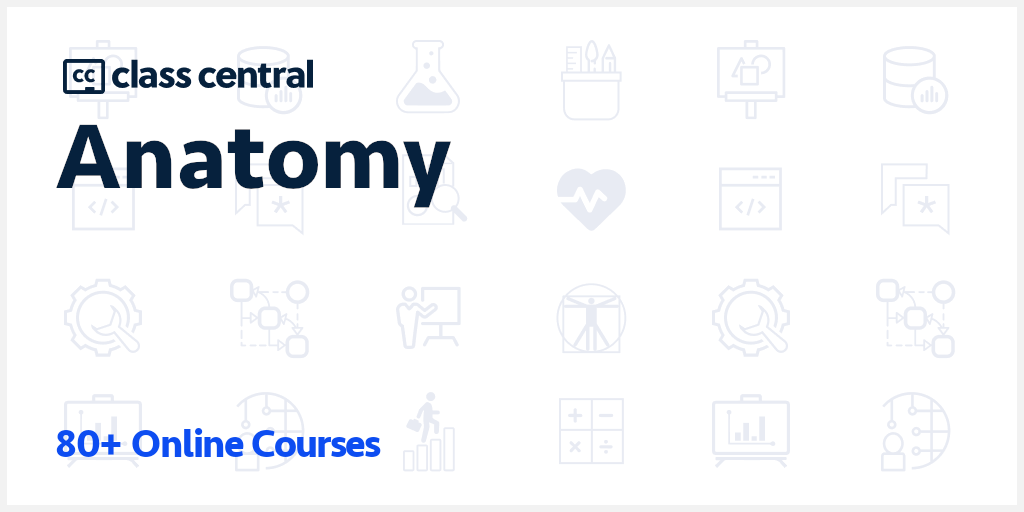 80+ Best Anatomy Courses and Certifications for 2023